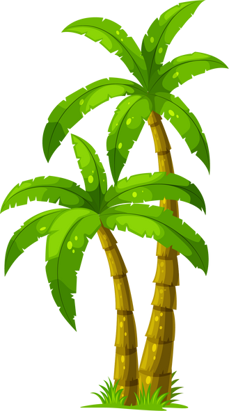 Palm Trees Illustration